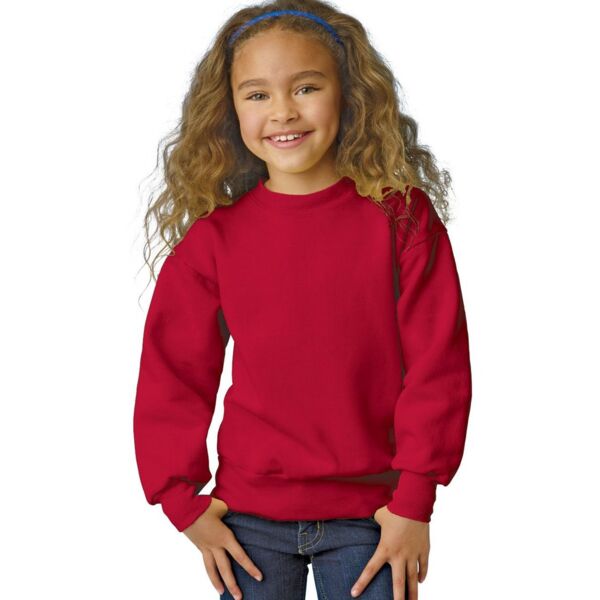 Hanes Youth EcoSmart® Crewneck Sweatshirt P360 Youth EcoSmart® Crewneck Sweatshirt Thumbnail